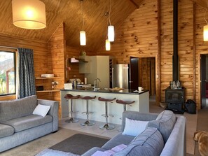 TV, fireplace, DVD player, books