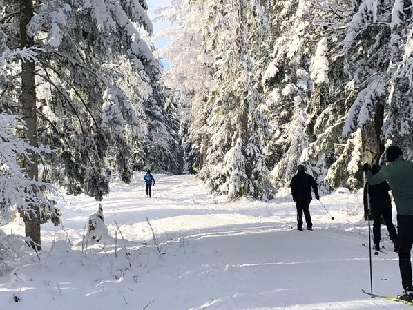 Un sendero nevado en un bosque, con esquiadores.