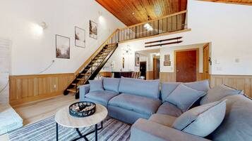 TV, fireplace, books