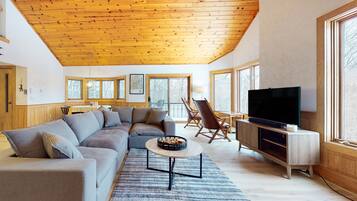 TV, fireplace, books