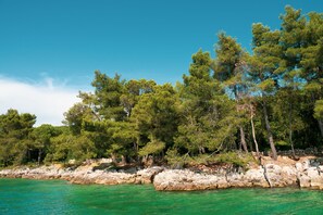 Eine Küstenlandschaft mit felsiger Uferlinie, dichtem Grün und klarem türkisblauem Wasser.