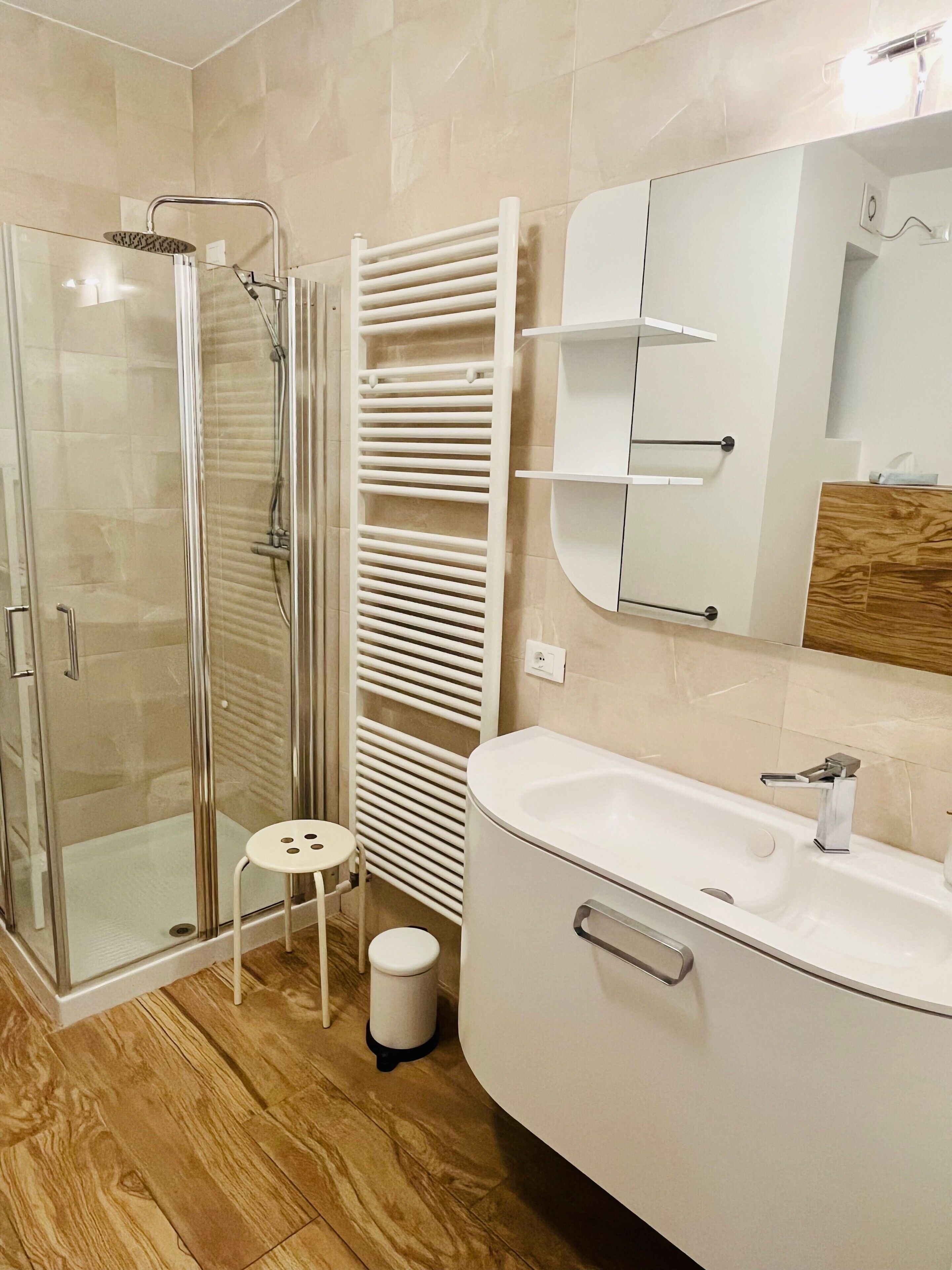 Shower, hair dryer, towels