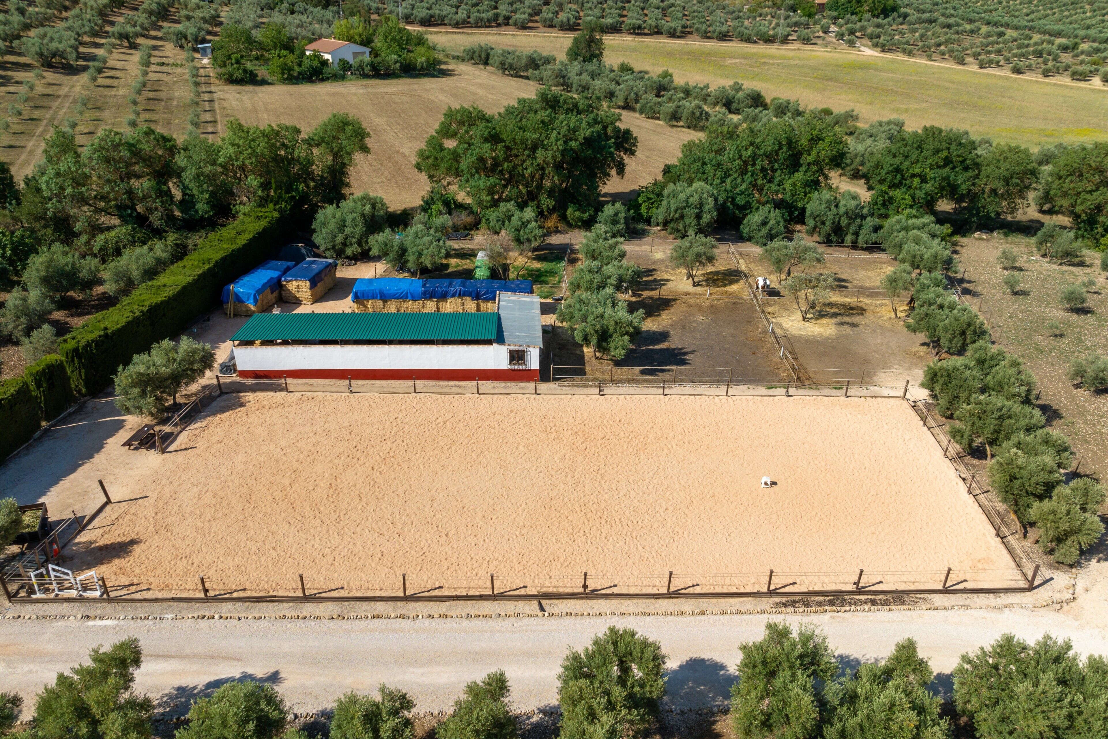 An aerial view of a large, fenced property with a sandy area, a building with a green roof, and surrounding olive groves.