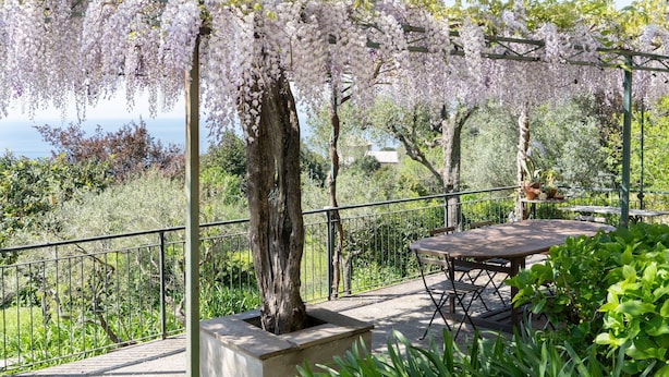 A garden with a pergola covered in wisteria, a table, and chairs. - Villa 'Uliveto' with Sea View, Wi-Fi and Air Conditioning (Camogli)