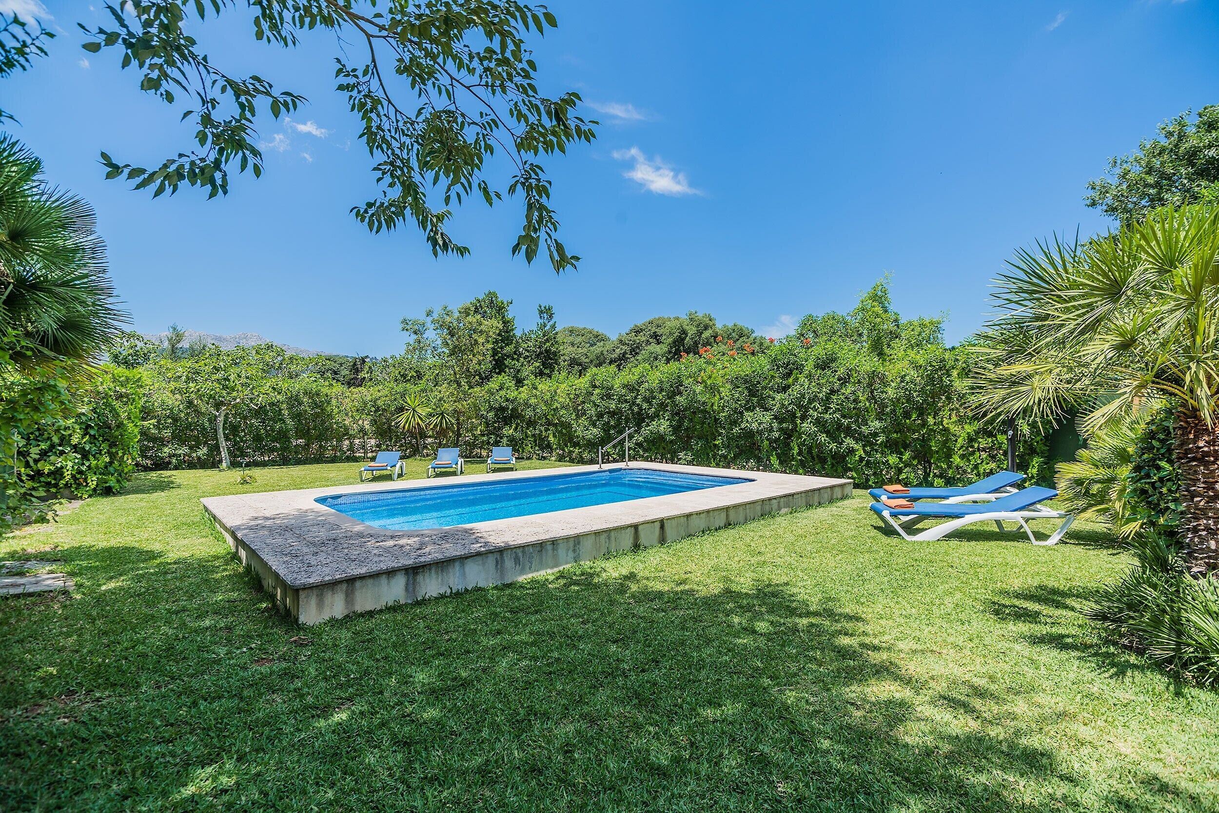 A swimming pool with two lounge chairs, surrounded by lush greenery and trees.