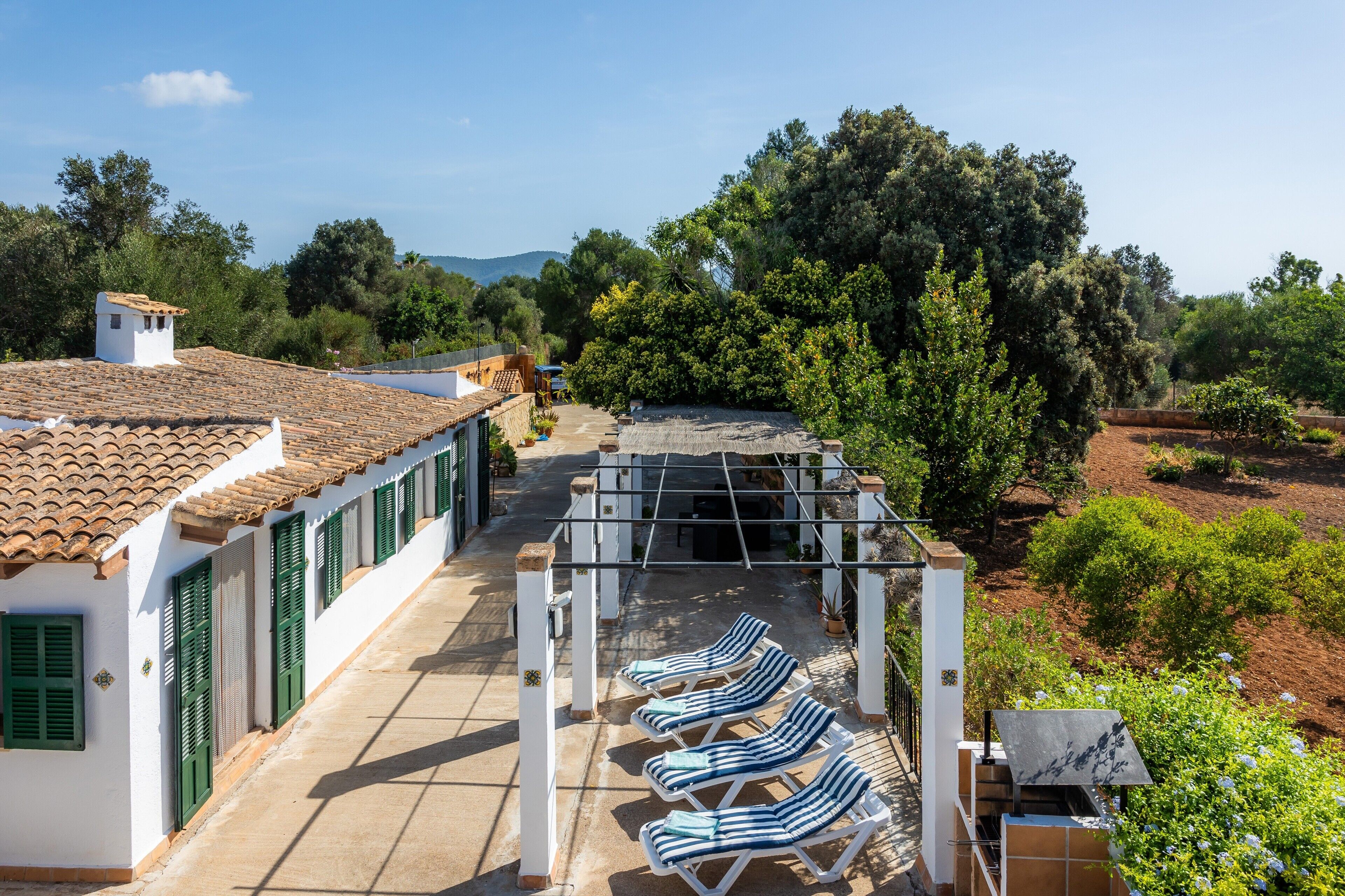 テラス / パティオ