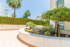Un área ajardinada con cactus, una palmera y un seto.