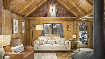 Televisión, chimenea y reproductor de DVD