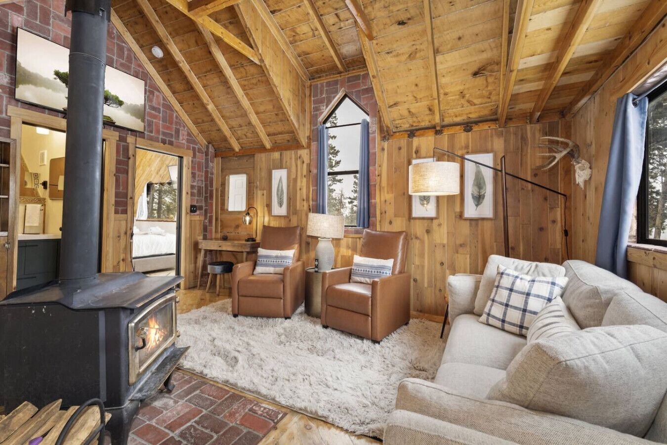 Televisión, chimenea y reproductor de DVD 