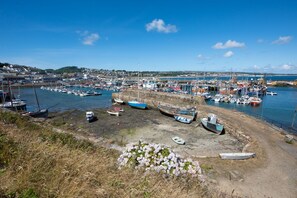 Marina - A delightful character cottage for couples and their dogs in the heart of Newlyn in Cornwall (Newlyn)