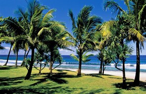 A beach with palm trees and ocean waves.