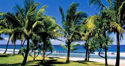 La Belle Escale Ă 300m de la Plage de Terre Sainte