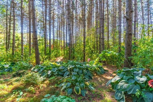Romantischer Gartenaufenthalt Jünkerath
