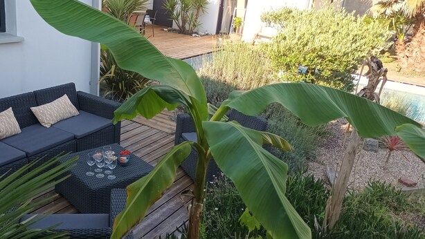 Un canapé en osier avec des coussins, une petite table avec des verres à vin et un saladier, et une terrasse en bois.