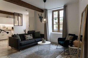 Smart TV - En Hyper Centre de Pau, Maison et Appartement au Calme Avec Terrasse et Parking! (Pau)