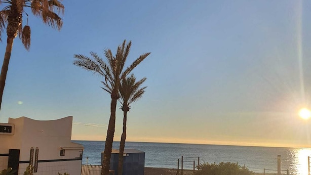 Vista costera con palmeras, una playa y un edificio de fachada geométrica.