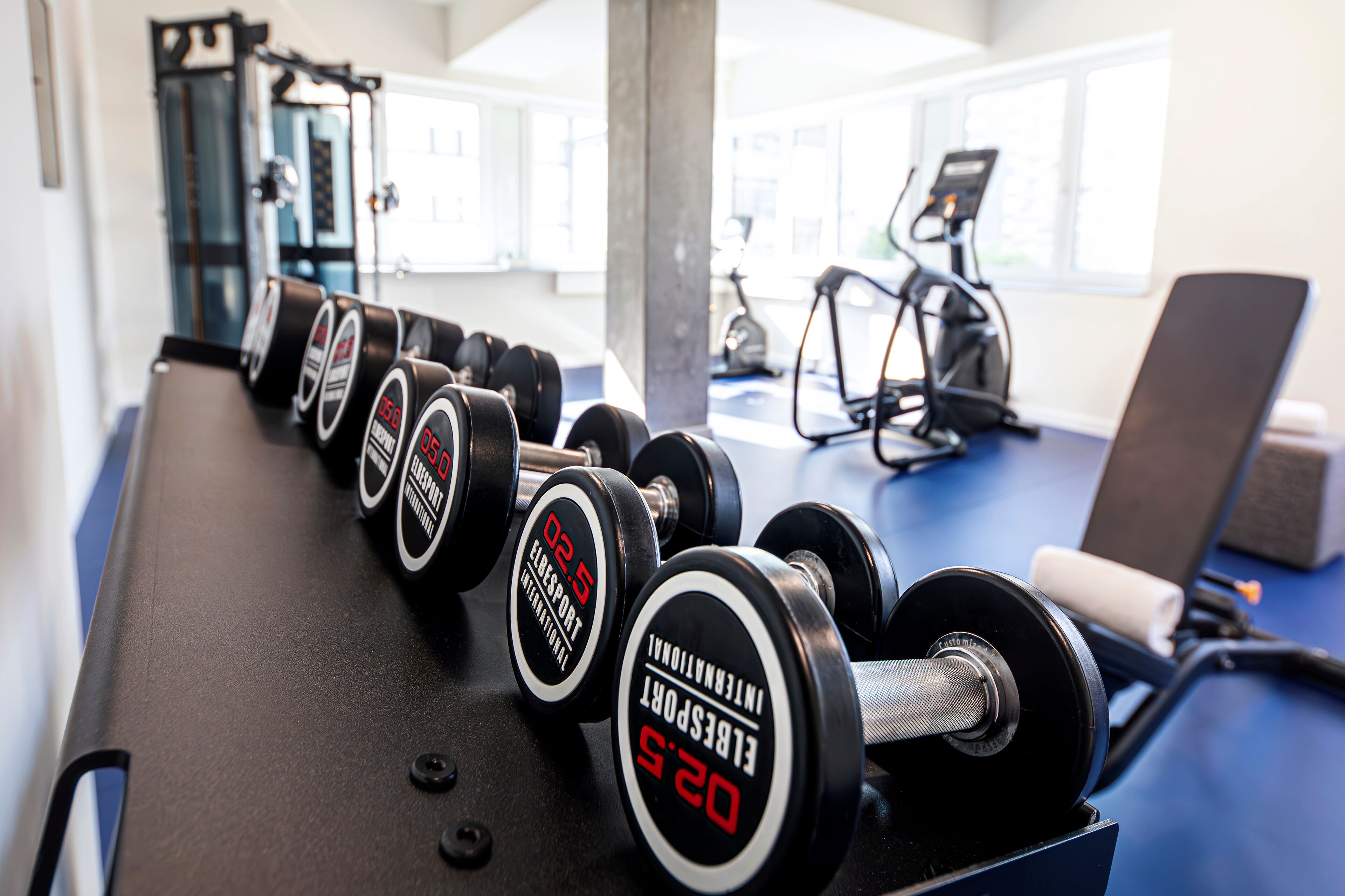 A row of dumbbells on a rack in a gym with exercise equipment and windows in the background.