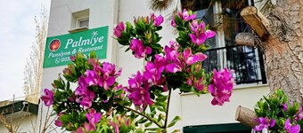 PALMİYE PANSİYON