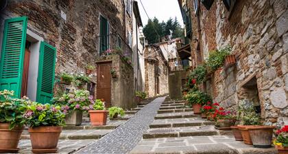 Podere del Ciacchi Among Tuscany Greenery
