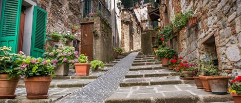 Terrein van de accommodatie