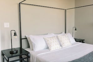 3 bedrooms, desk, iron/ironing board, WiFi - 2 King Beds - Pool Table, Heart of Downtown LYH (Lynchburg)
