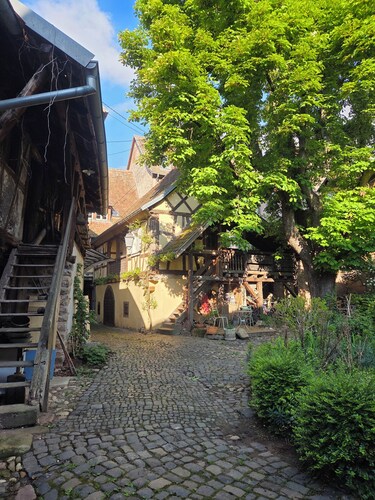 Le Nid, ein elsässisches Haus an der Weinstraße zwischen Straßburg und Colmar