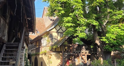 Le Nid, maison Alsacienne sur la route des vins entre Strasbourg et Colmar
