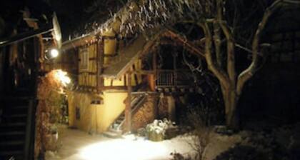 Le Nid, an Alsatian house on the wine route between Strasbourg and Colmar