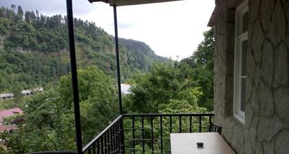Guesthouse in borjomi near the forest 15minutes to the theme park close to train
