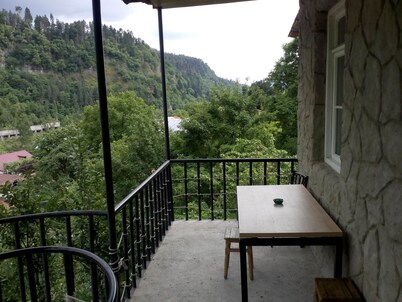 Guesthouse in borjomi near the forest 15minutes to the theme park close to train