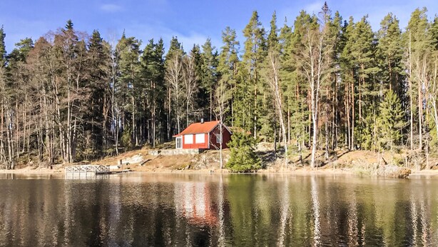 En stuga vid en sjö, omgiven av tät skog.