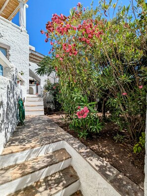 Property grounds - Property with 2 charming Patmos style family homes (Patmos)