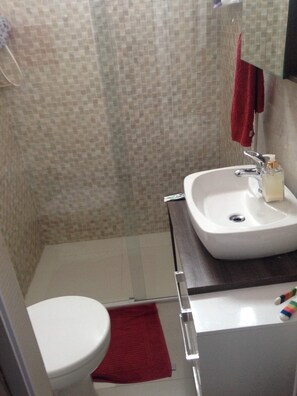 Chuveiro, secador de cabelo, toalhas de banho, papel higiênico