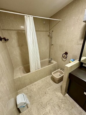 Bathtub, hair dryer - Gray D'albion/ Lef516/ 1P (Cannes)