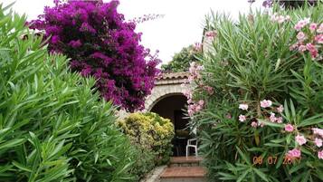 Terrain de l’hébergement