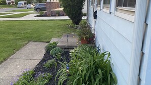 A residential garden with various plants and a decorative birdhouse. - Awesome Unbeatable 5-Star Location…walk to ND in 10 minutes! (South Bend)