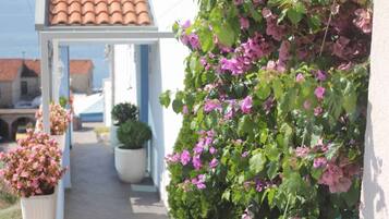 Detall de l'exterior