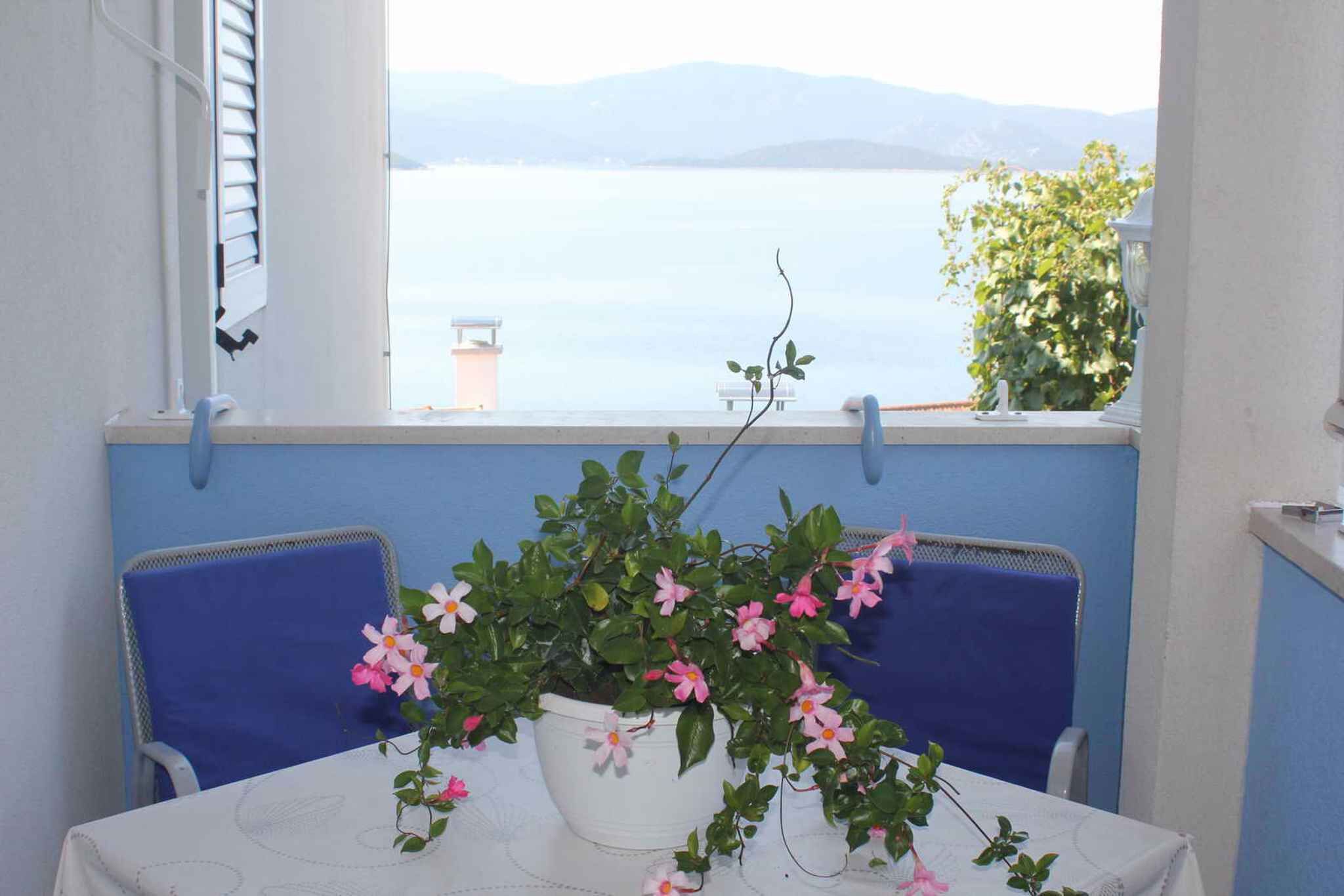 Une table avec une plante en pot et une vue sur la mer.