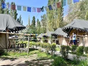 A row of tents with a person standing by one. - Tongspon Camp (Leh)