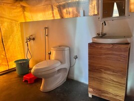 Bañera, toallas, jabón, papel higiénico