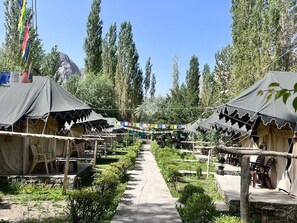 A row of tents with a pathway between them, surrounded by greenery and trees. - Tongspon Camp (Leh)