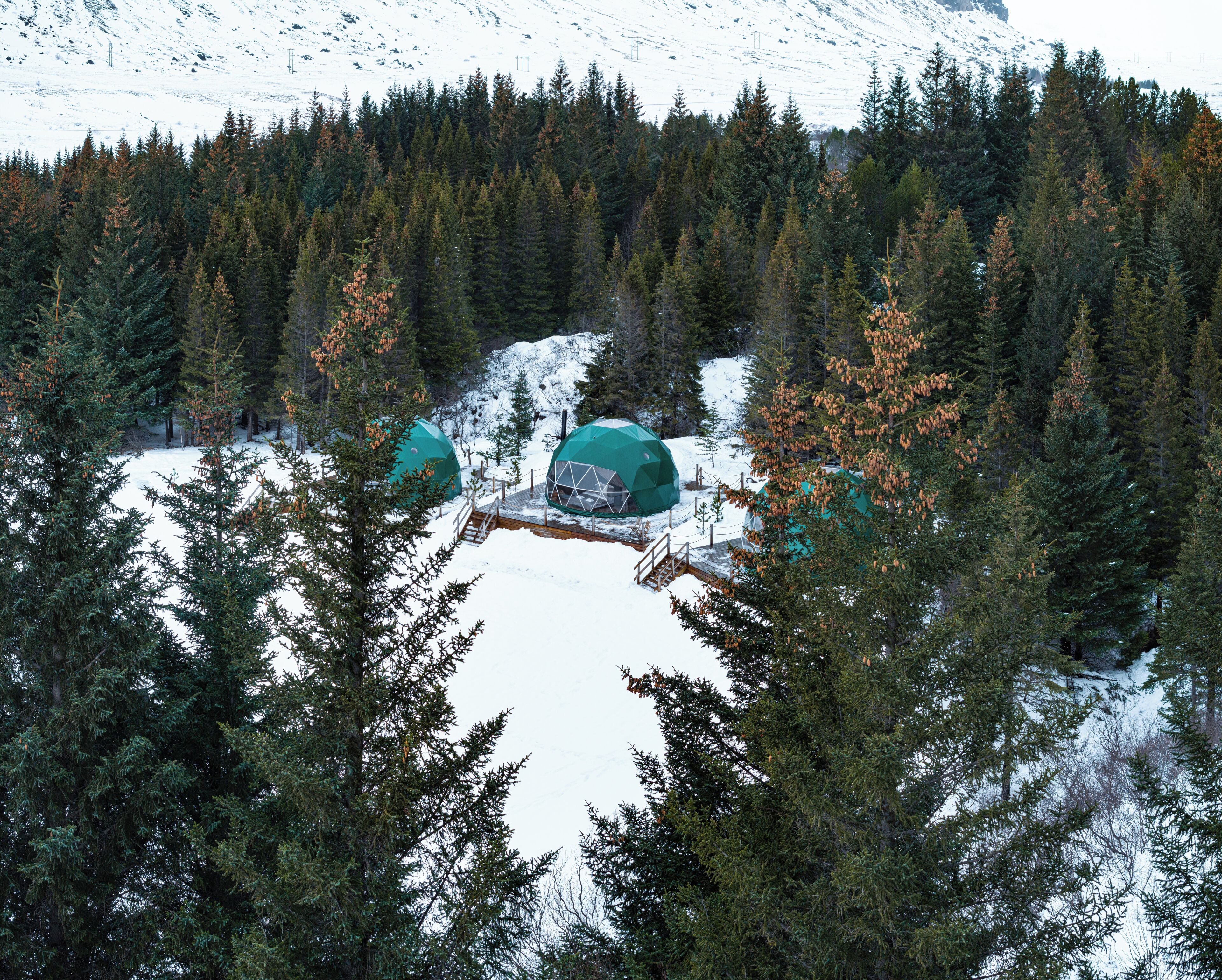 Une forêt enneigée avec trois cabanes en forme de dôme.