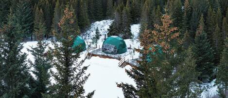 Une forêt enneigée avec trois cabanes en forme de dôme.