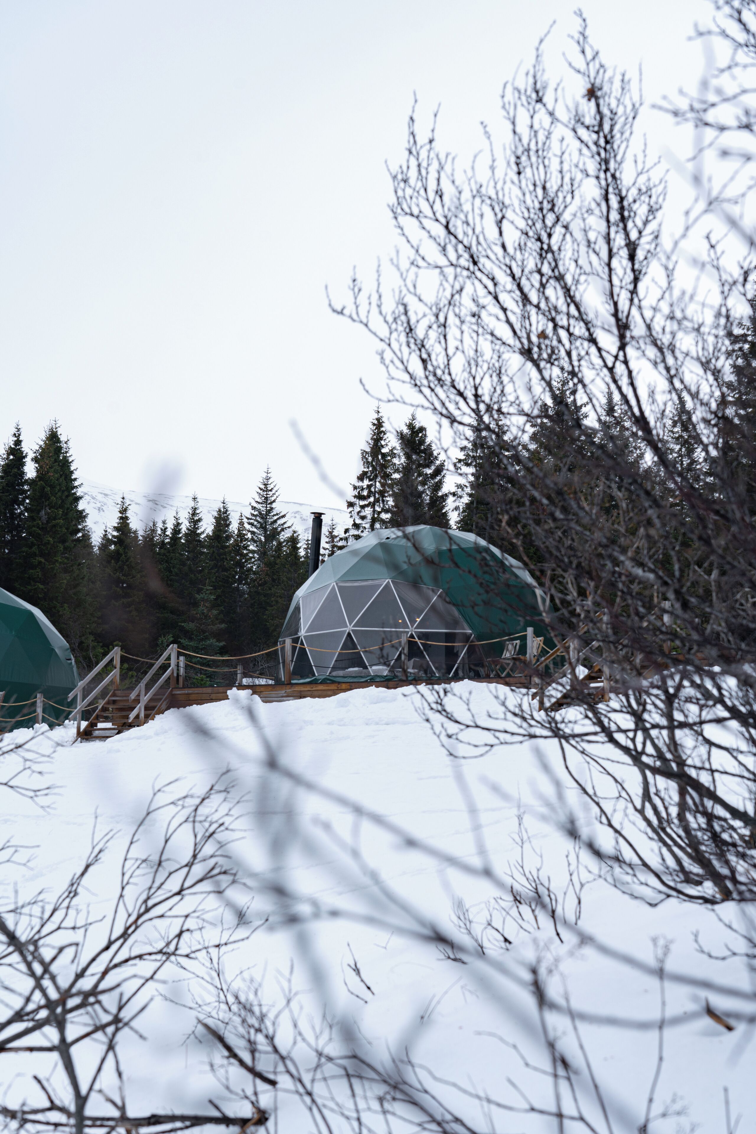 Two geodesic domes in a snowy forest setting.