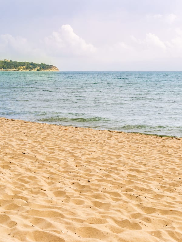 Playa en los alrededores, camastros y sombrillas