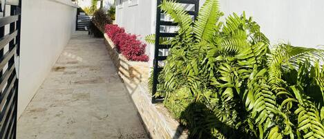 A narrow pathway flanked by a white wall and a black metal fence, leading to a staircase.