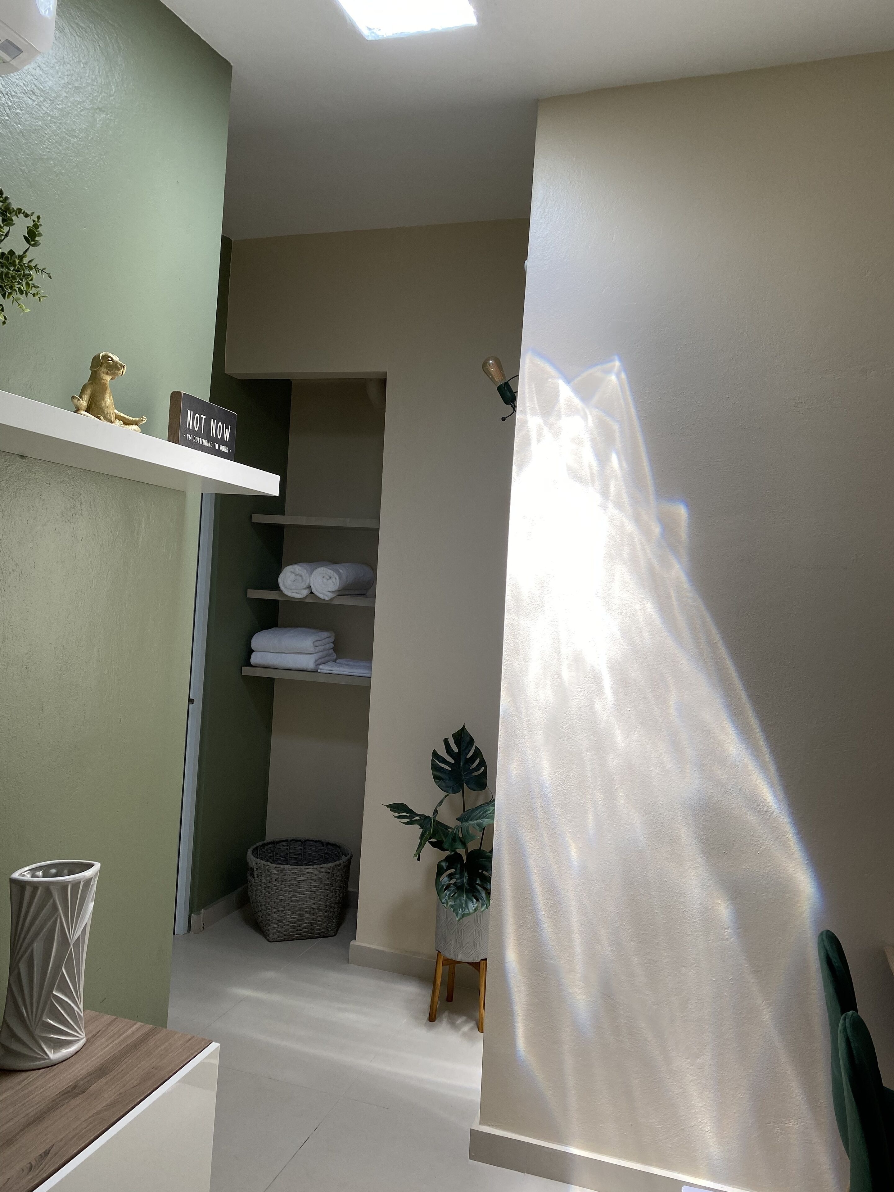 Una habitació amb una paret verda, una estant blanca amb un cartell que diu 'NOT NOW', una planta i una cistella.