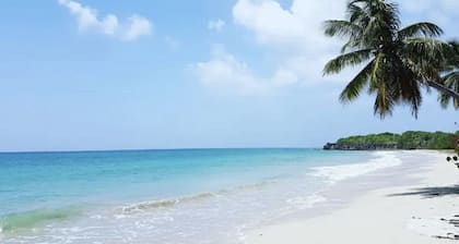 Anse Caritan rez-de-jardin 50m de la plage n° 3003