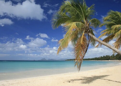Anse Caritan rez-de-jardin 50m de la plage n° 3003