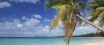 Anse Caritan Rez-de-jardin 50m de la Plage n° 3003
